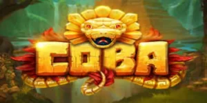Coba 在线老虎机的玩法解析-开云体育
