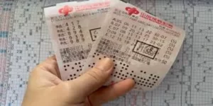 提高开云体育彩票游戏的胜率-开云体育