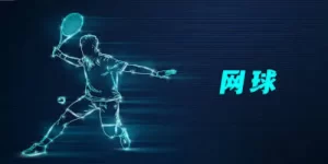 网球投注基础知识-开云体育